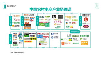 打通農(nóng)村商品上下行 農(nóng)村電商項目商業(yè)計劃書范文解析與案例